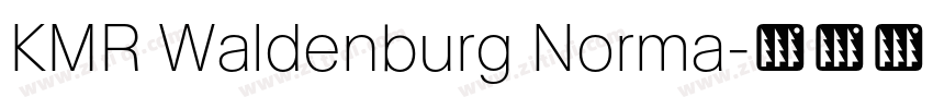KMR Waldenburg Norma字体转换 KMR Waldenburg Norma字体转换